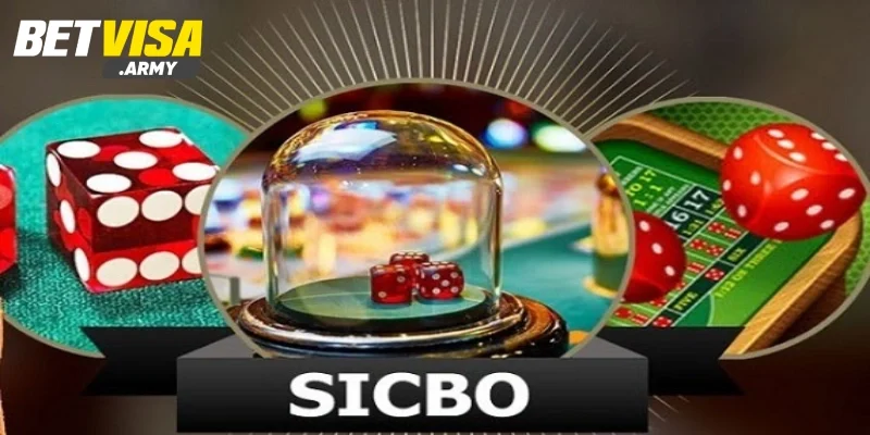 Sicbo BETVISA - Trải Nghiệm Giải Trí Kịch Tính Nhận Thưởng Cao