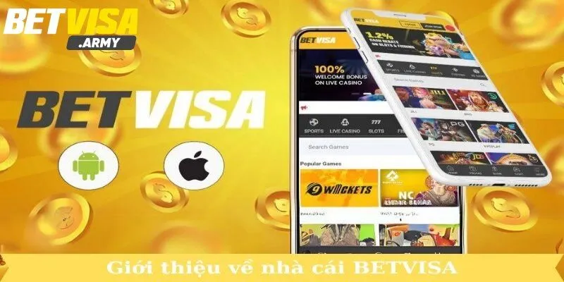 Những thông tin cơ bản về BETVISA