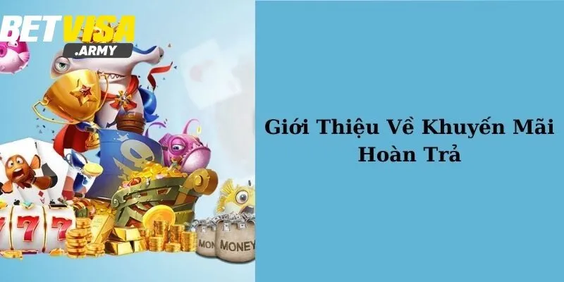 Giới thiệu về chính sách hoàn trả BETVISA