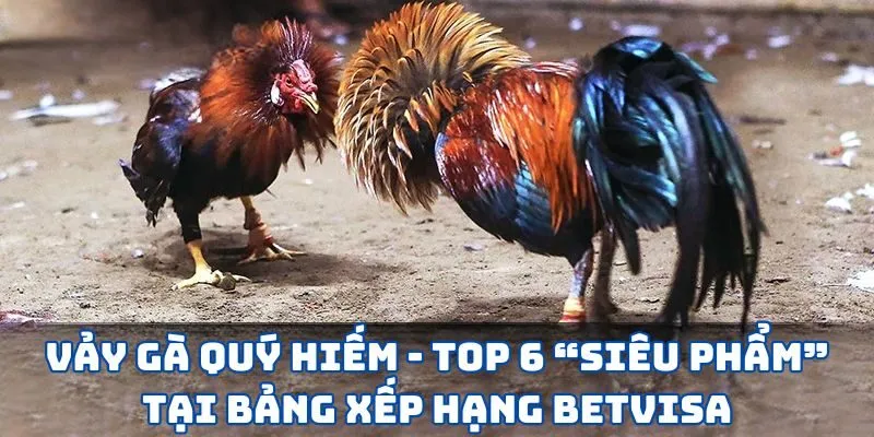 Vảy Gà Quý Hiếm